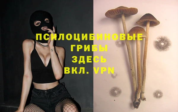 мефедрон Алексеевка