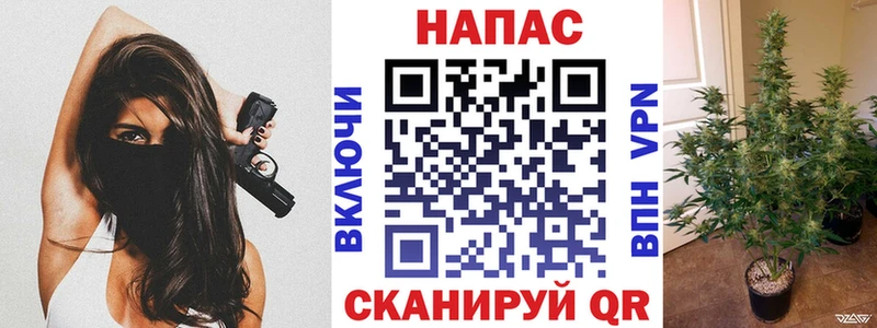 закладки  Берёзовский  kraken ONION  Канабис SATIVA & INDICA 